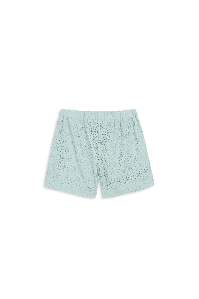The Watch Hill Blue Shorts