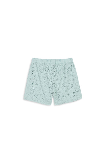 The Watch Hill Blue Shorts
