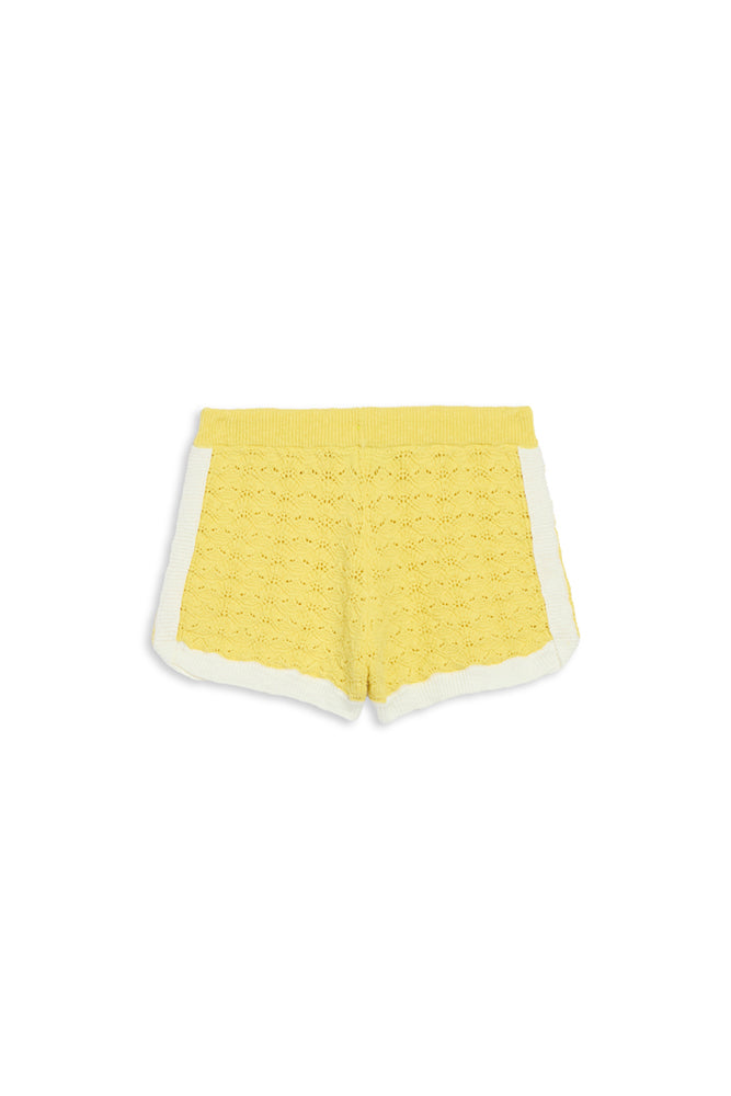Palm Beach Shorts