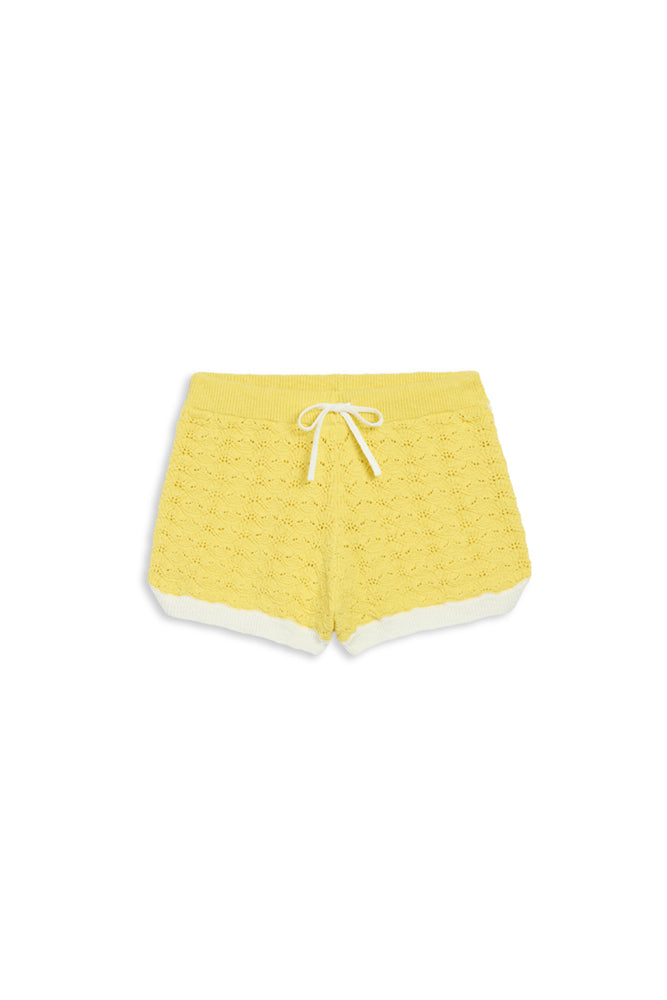 Palm Beach Shorts